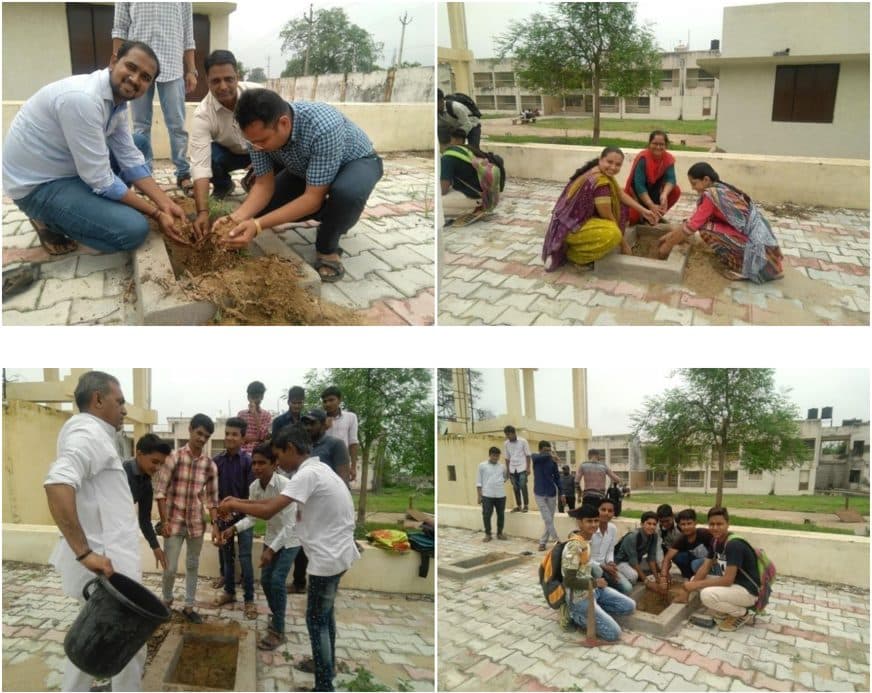 Tree Plantation Drive 2018 (2)