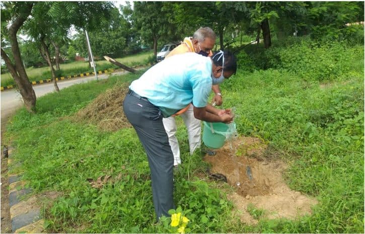 Tree Plantation Drive 2020 (1)