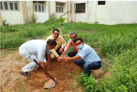 Tree Plantation Drive 2021 (2)