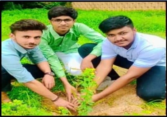 Tree Plantation Drive (1)