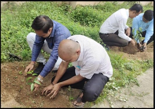 Tree Plantation Drive (2)