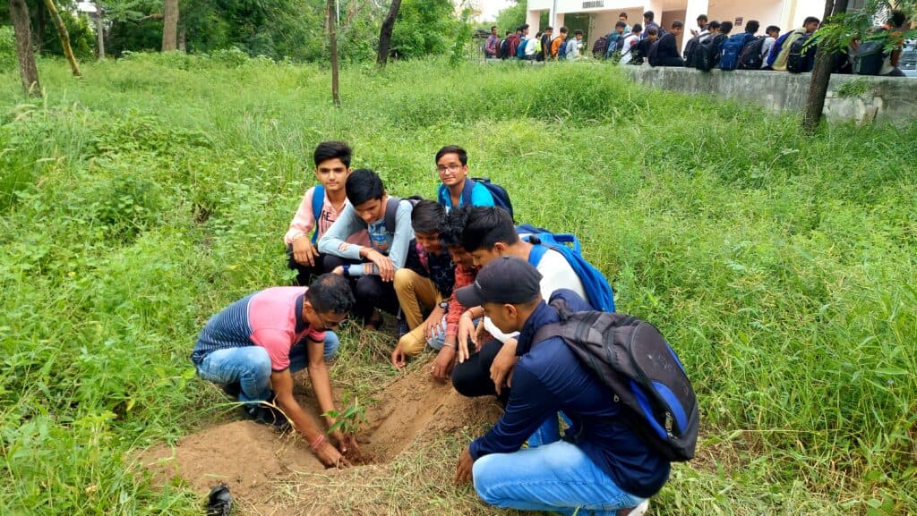 Tree Plantation Drive (1)