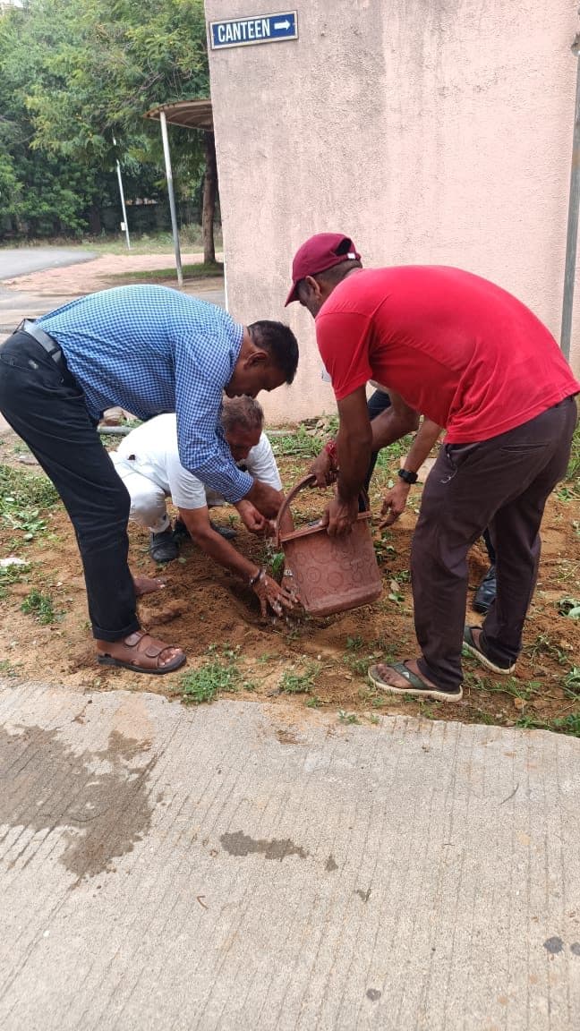 Tree Plantation 2024 (1)