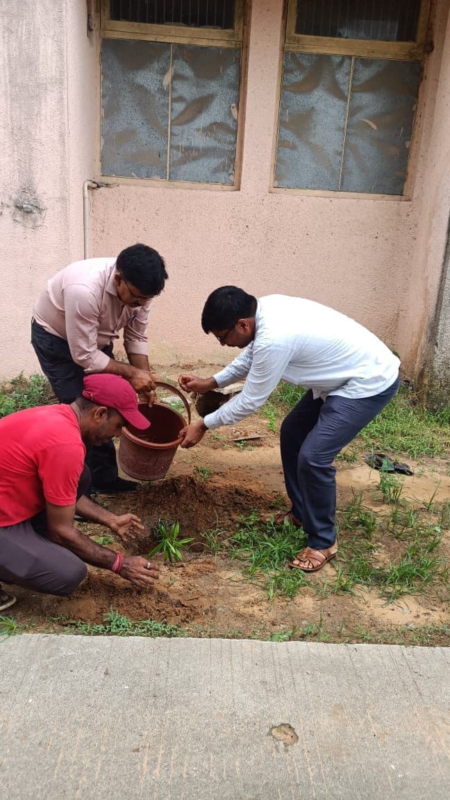 Tree Plantation 2024 (2)