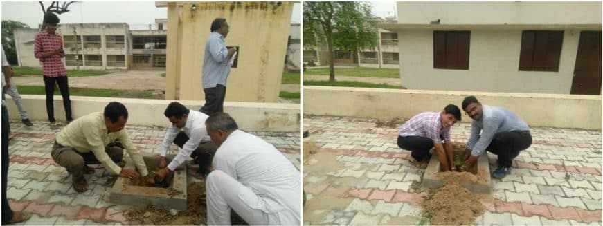 Tree Plantation Drive 2018 (1)