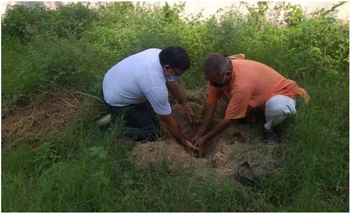 Tree Plantation Drive 2020 (2)
