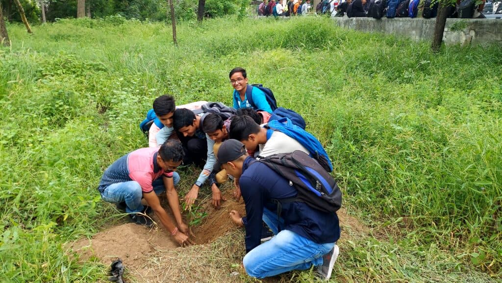 Tree Plantation Drive (2)